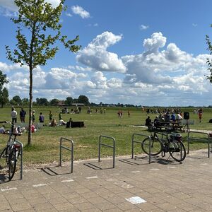 whatsapp-image-2025-05-18-at-1